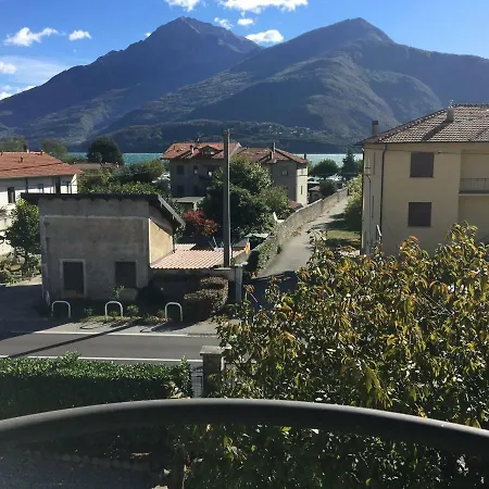 Iris 1 Di * ドンゴ